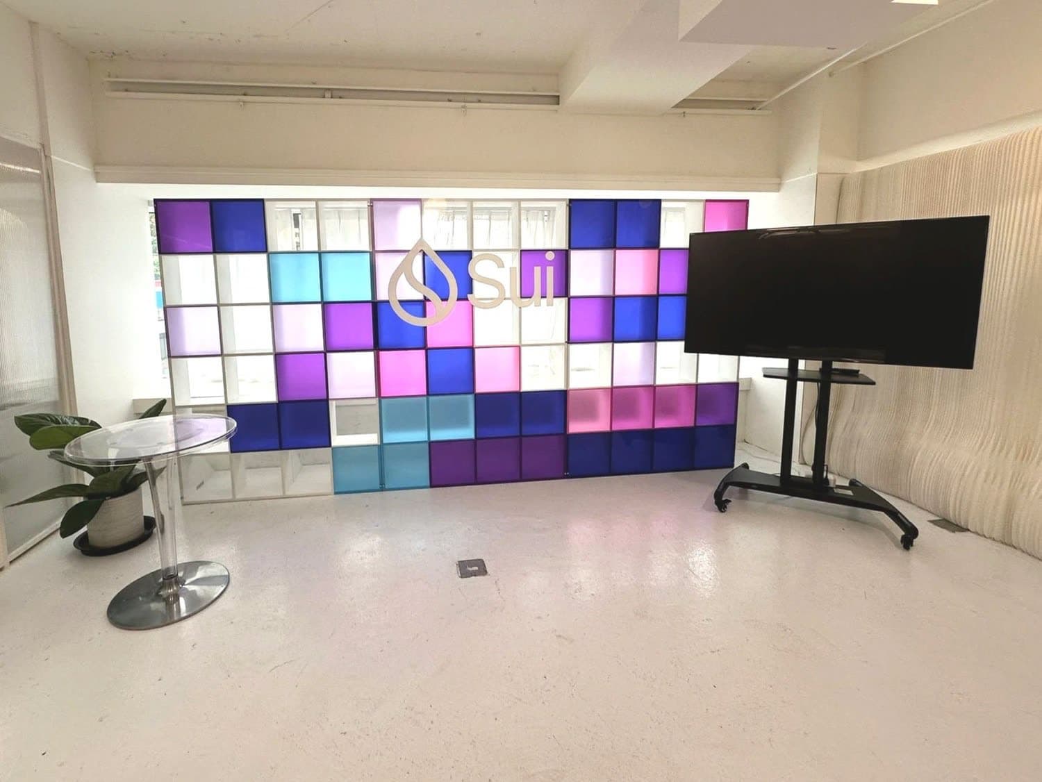 Content backdrop (Reality)